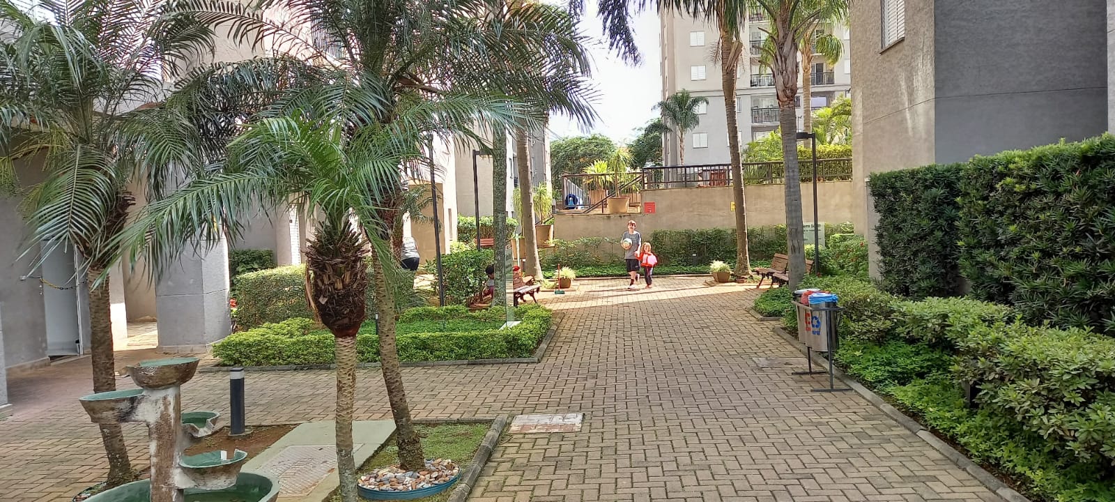 IMG-20250109-WA0002
