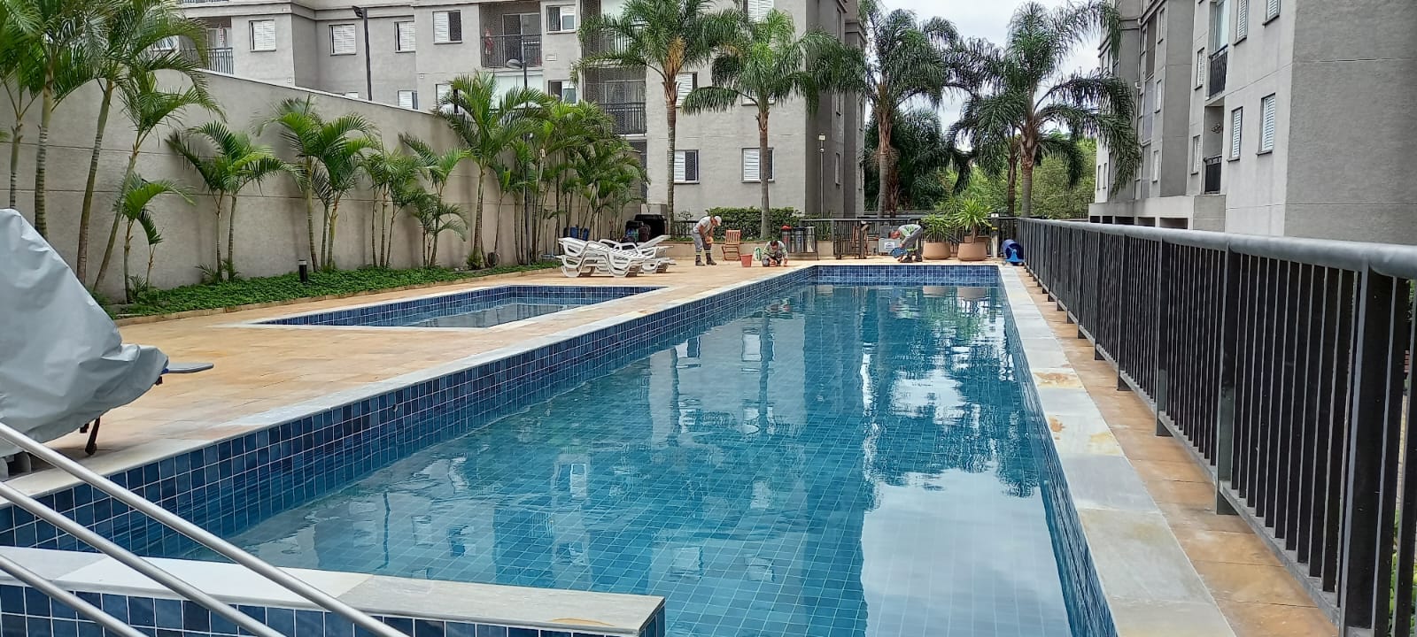 IMG-20250109-WA0015